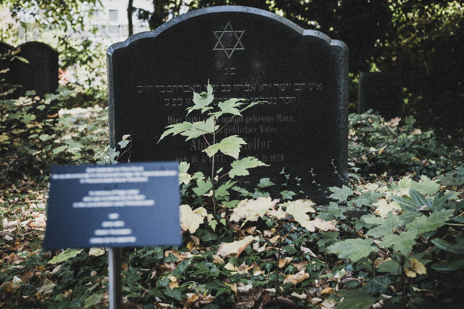 Schortens-Heidmühle, Jüdischer Friedhof